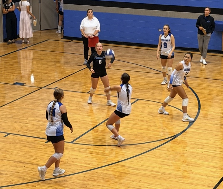 vball