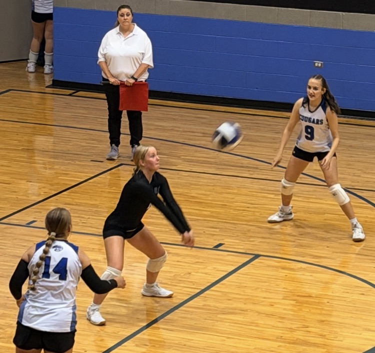 vball