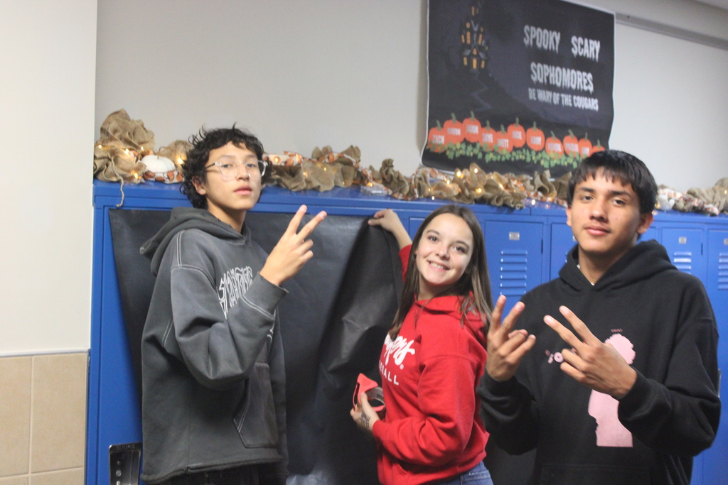 three sophomores hanging things in the hallways 