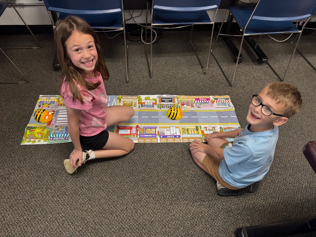 Bee-Bots