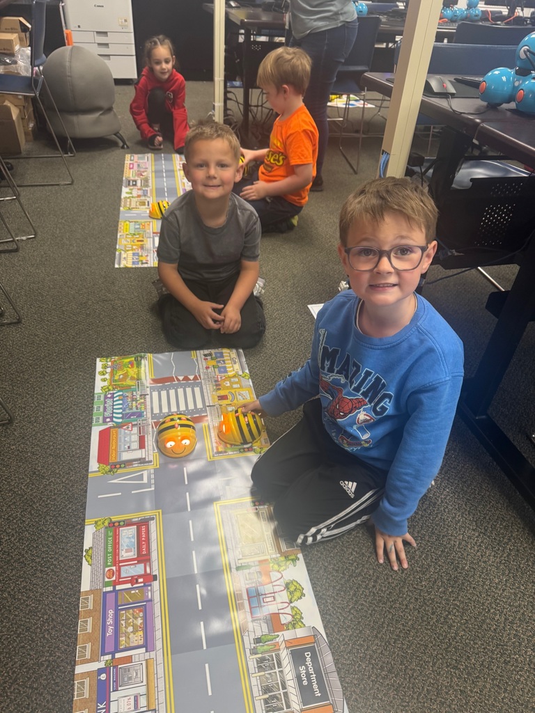 Bee-Bots