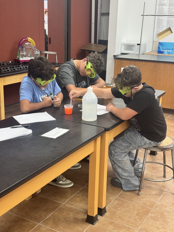 lab