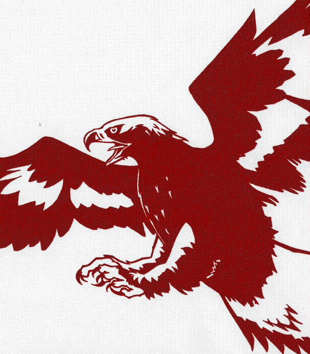 flying eagle logo