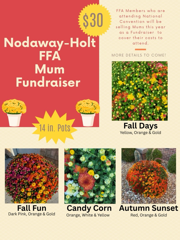 flier
