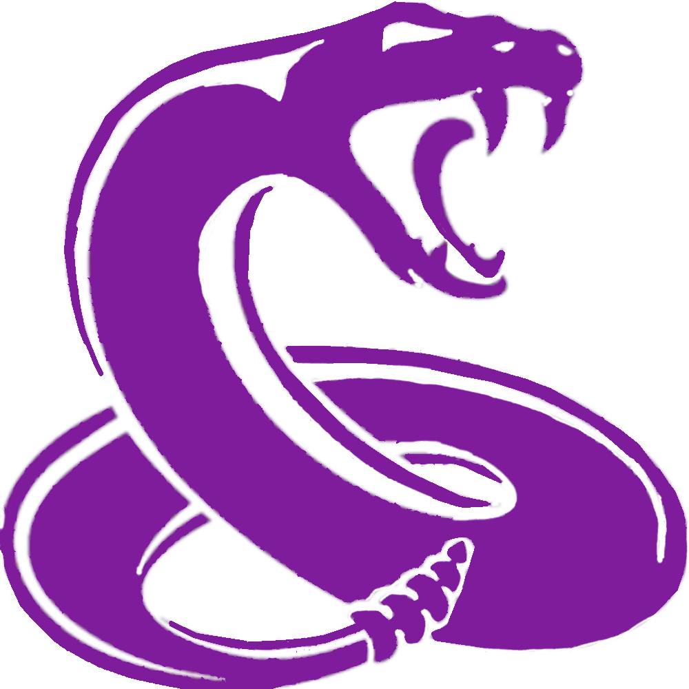 DSMS logo