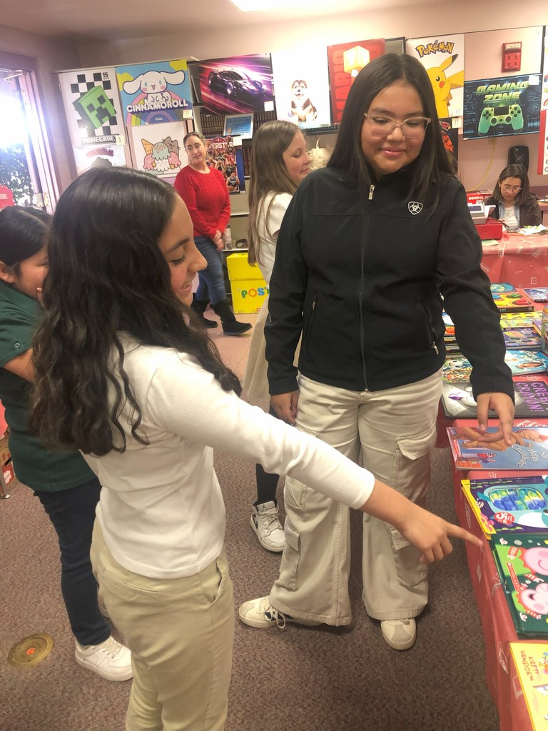 Book Fair
