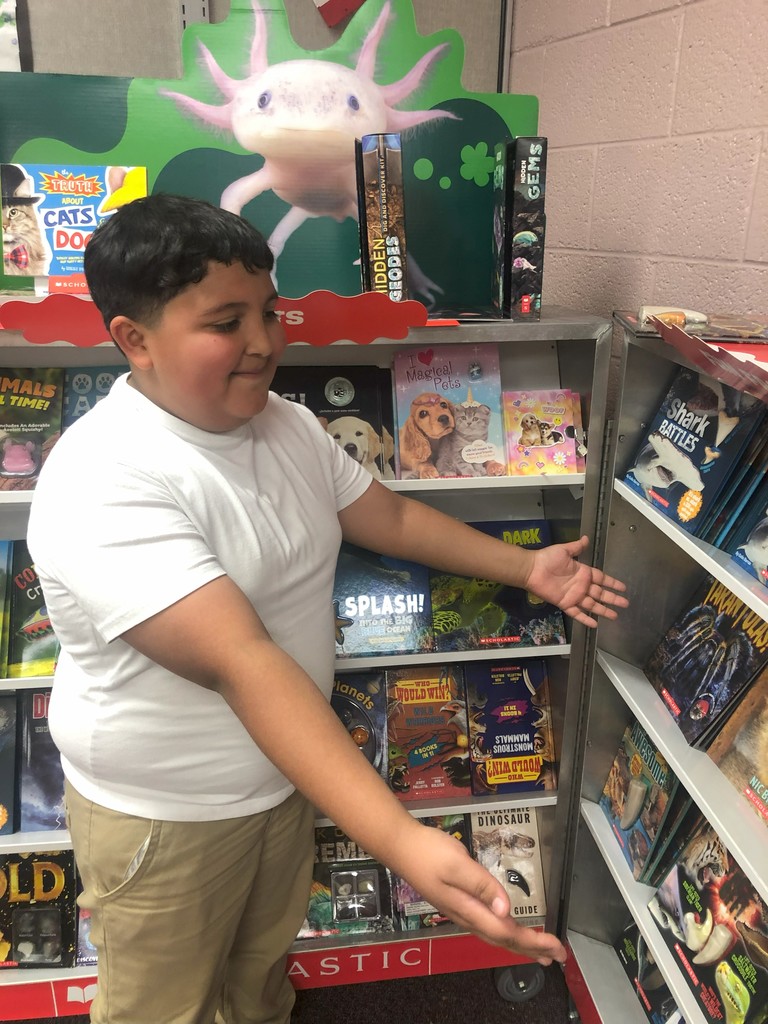 Book Fair