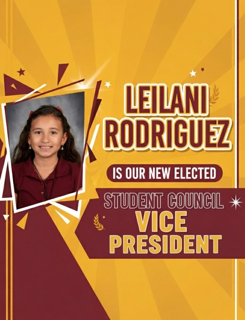 vice president