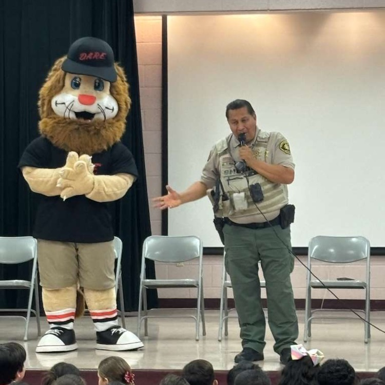 Red Ribbon 🎀 Week 