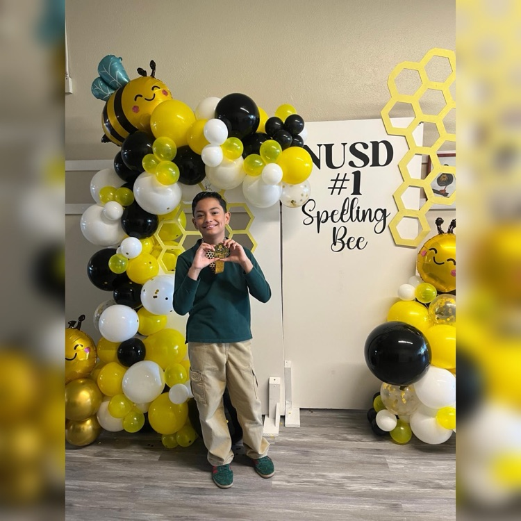 District Spelling Bee 🐝 
