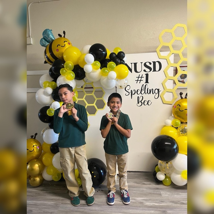 District Spelling Bee 🐝 