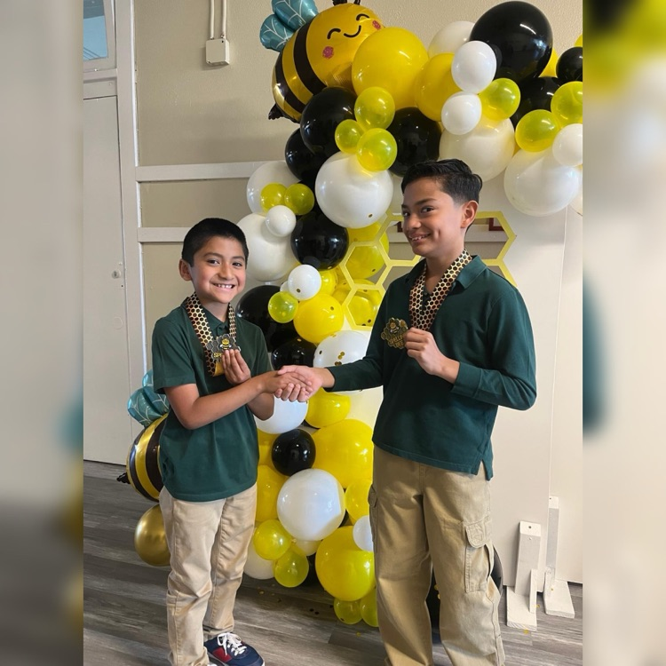 District Spelling Bee 🐝 