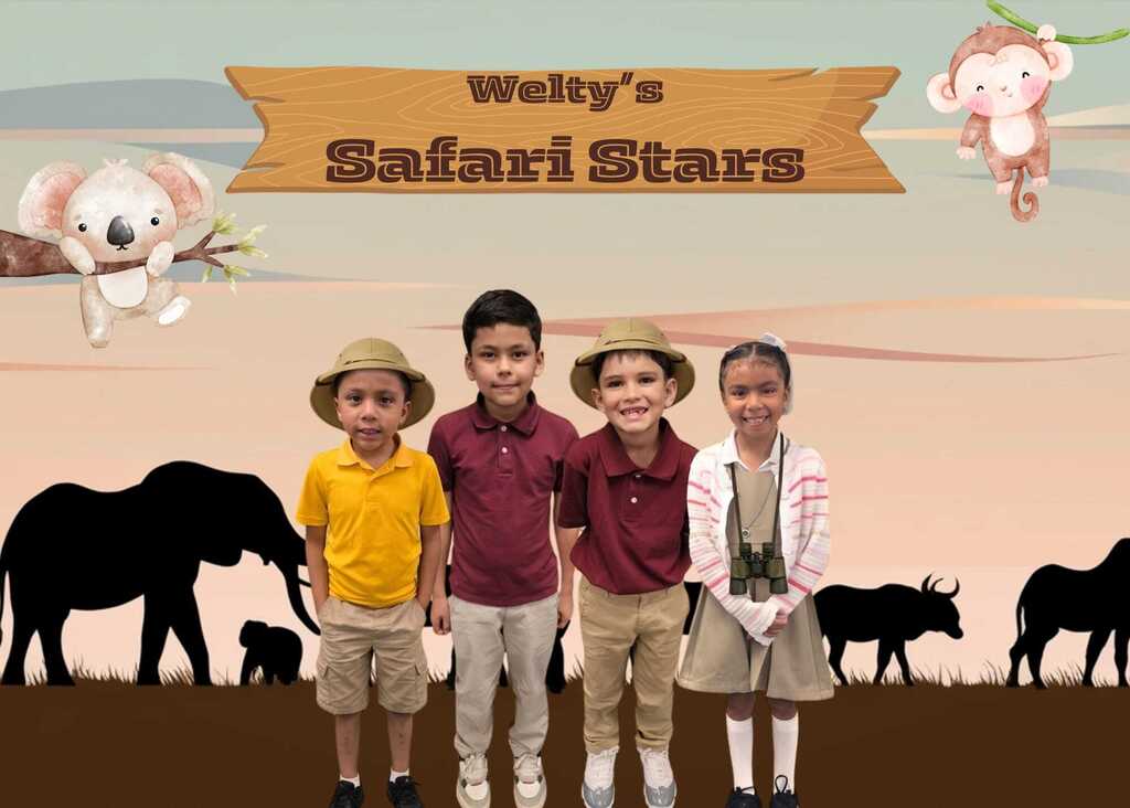 Safari Stars 