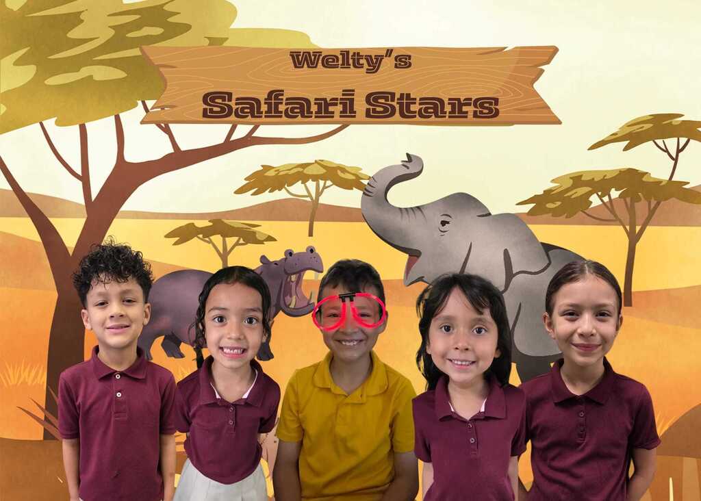 safari stars