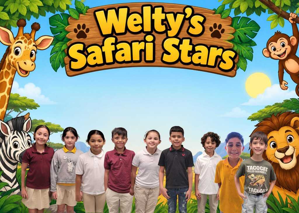 safari stars