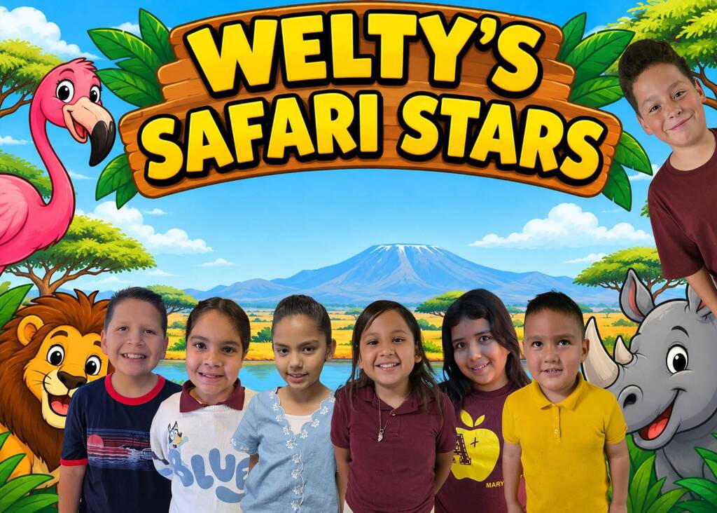 safari stars