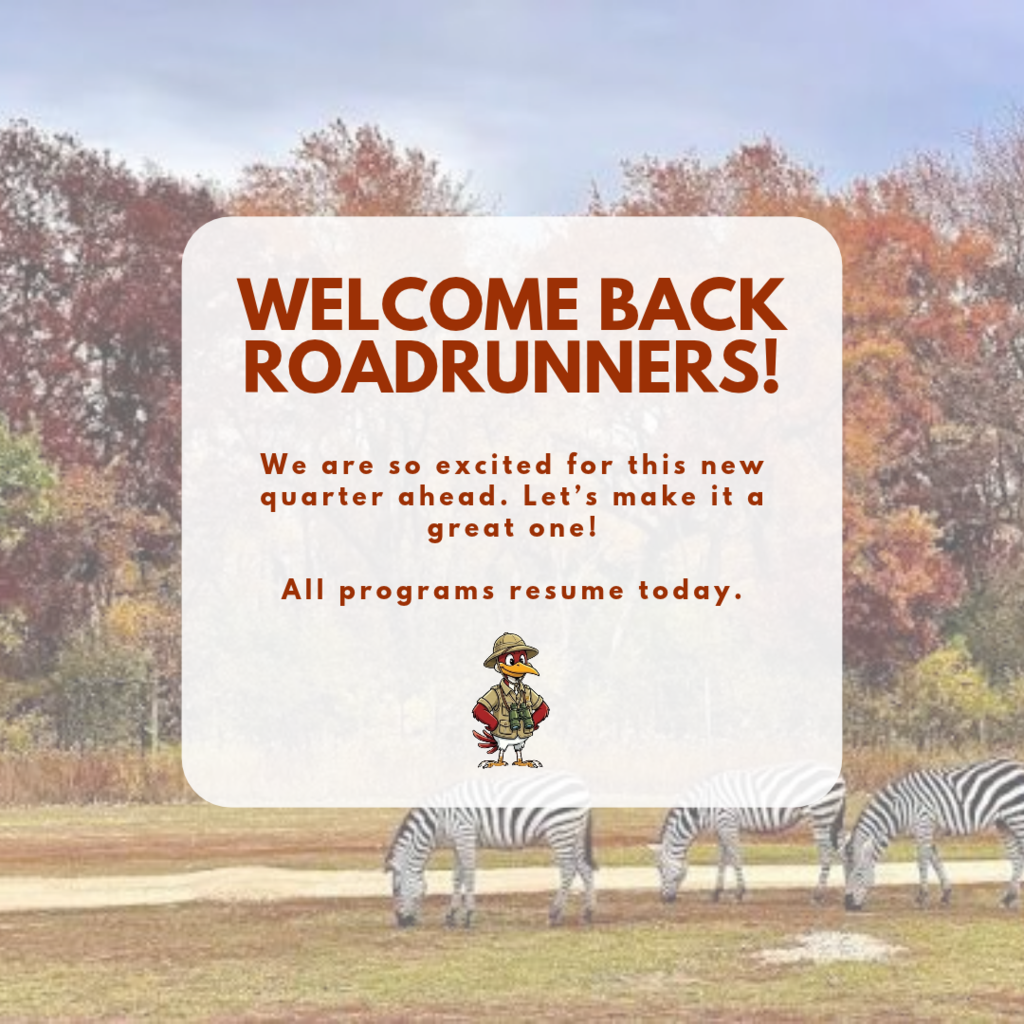 welcome back