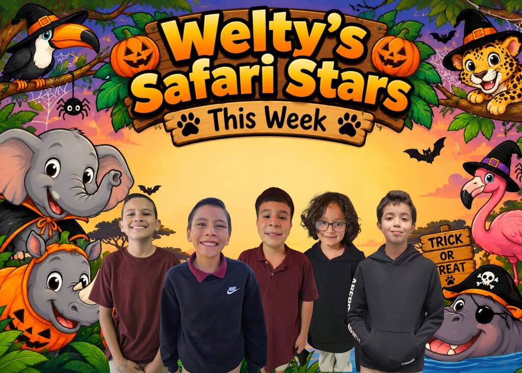 safari stars