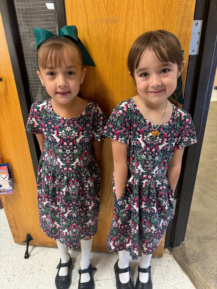 twin