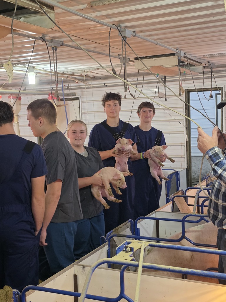 Farm Animal Management Borgic Tour