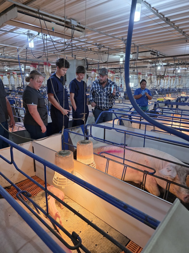 Farm Animal Management Borgic Tour