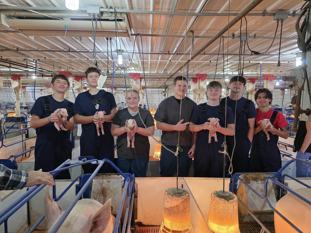 Farm Animal Management Borgic Tour