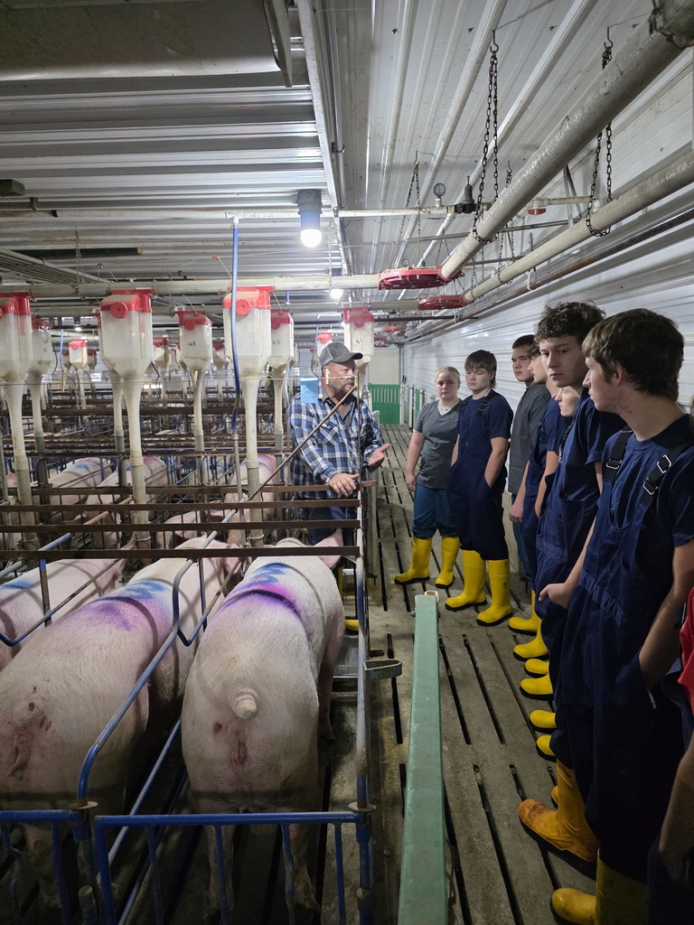 Farm Animal Management Borgic Tour
