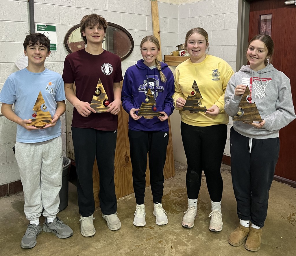 Ag students made Christmas trees.