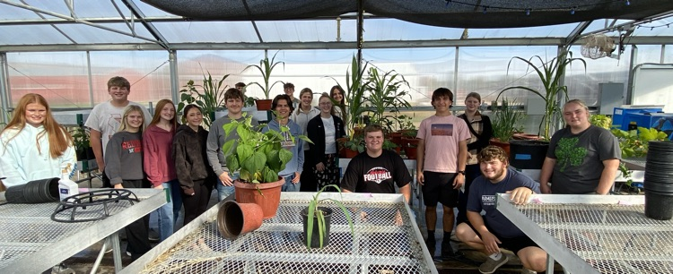 Greenhouse