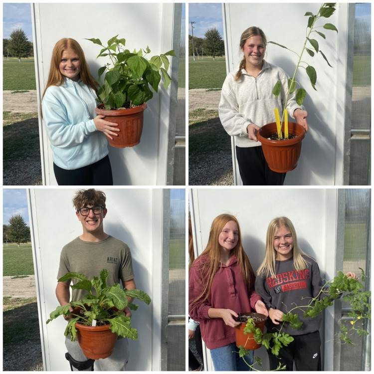 Greenhouse