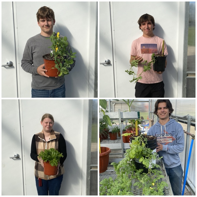 Greenhouse