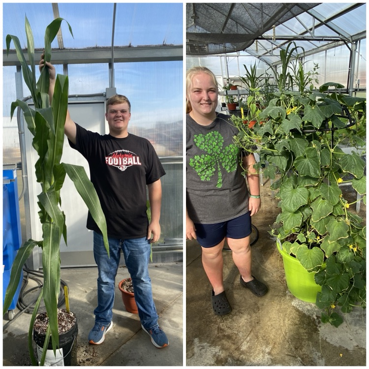 Greenhouse