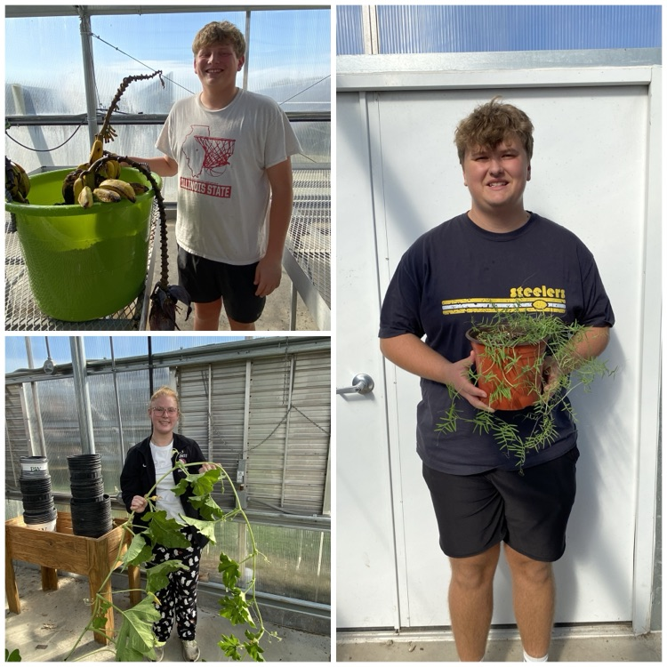 Greenhouse
