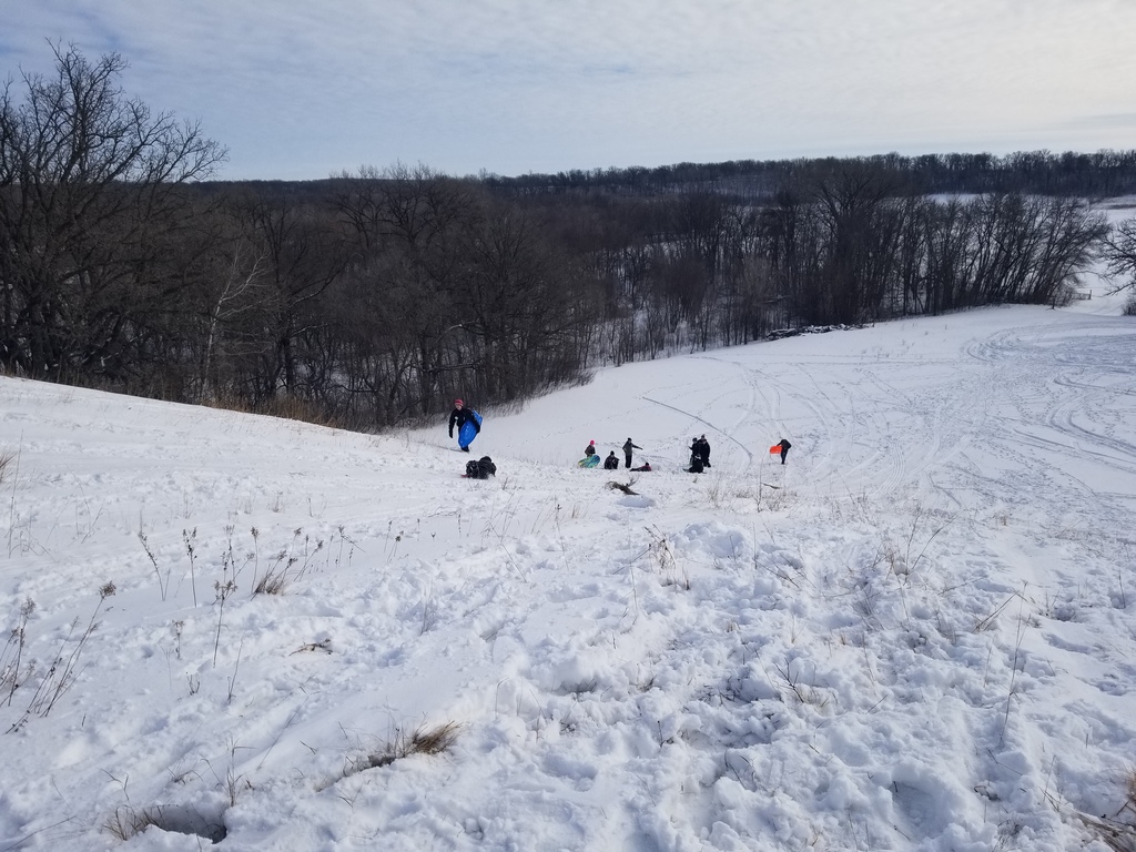 Sno Daze Sledding