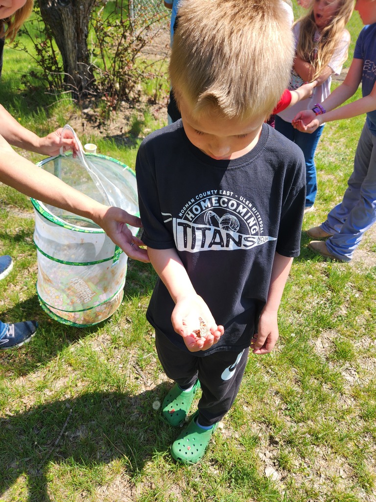 Mrs. Hoven's 2nd grade class releasing their butterflies on a nice spring day. What a fun science project!