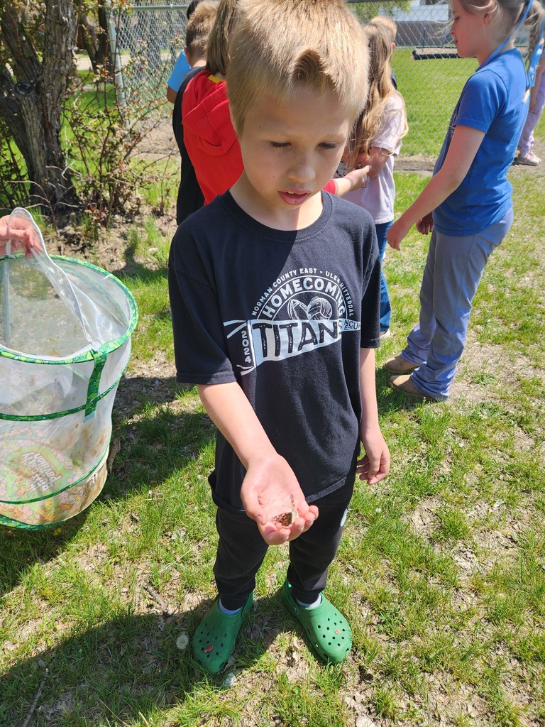 Mrs. Hoven's 2nd grade class releasing their butterflies on a nice spring day. What a fun science project!