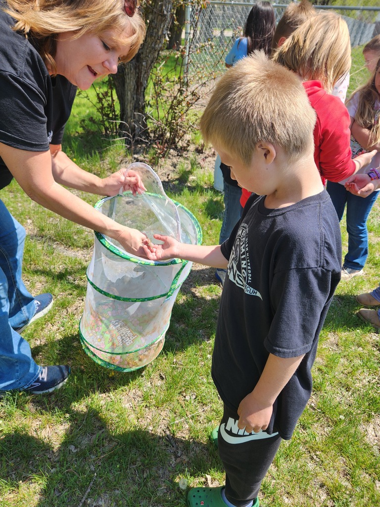 Mrs. Hoven's 2nd grade class releasing their butterflies on a nice spring day. What a fun science project!