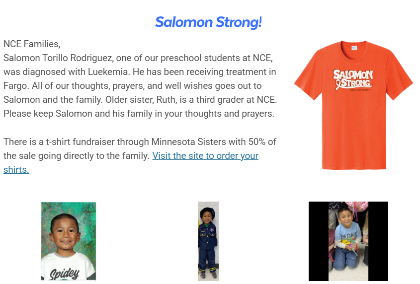 Salomon strong T-shirt Support info