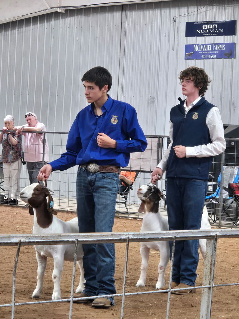 Two young men stand with goats in a ring at an event. One holds a goat by the leash.