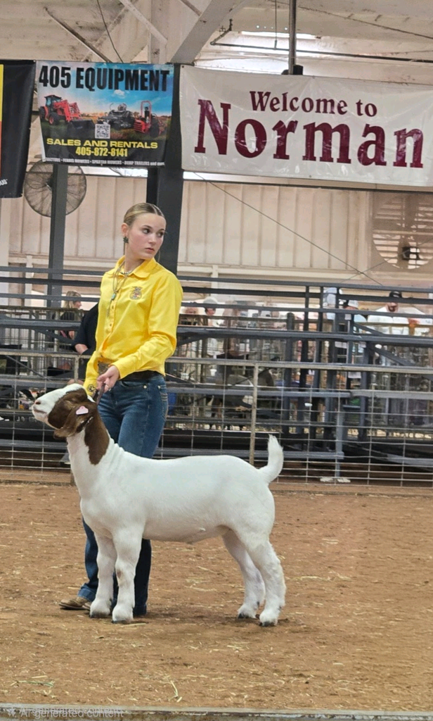 A woman holds a white and brown goat in an indoor area, with metal fences and banners reading "Norman" and "405 Equipment."