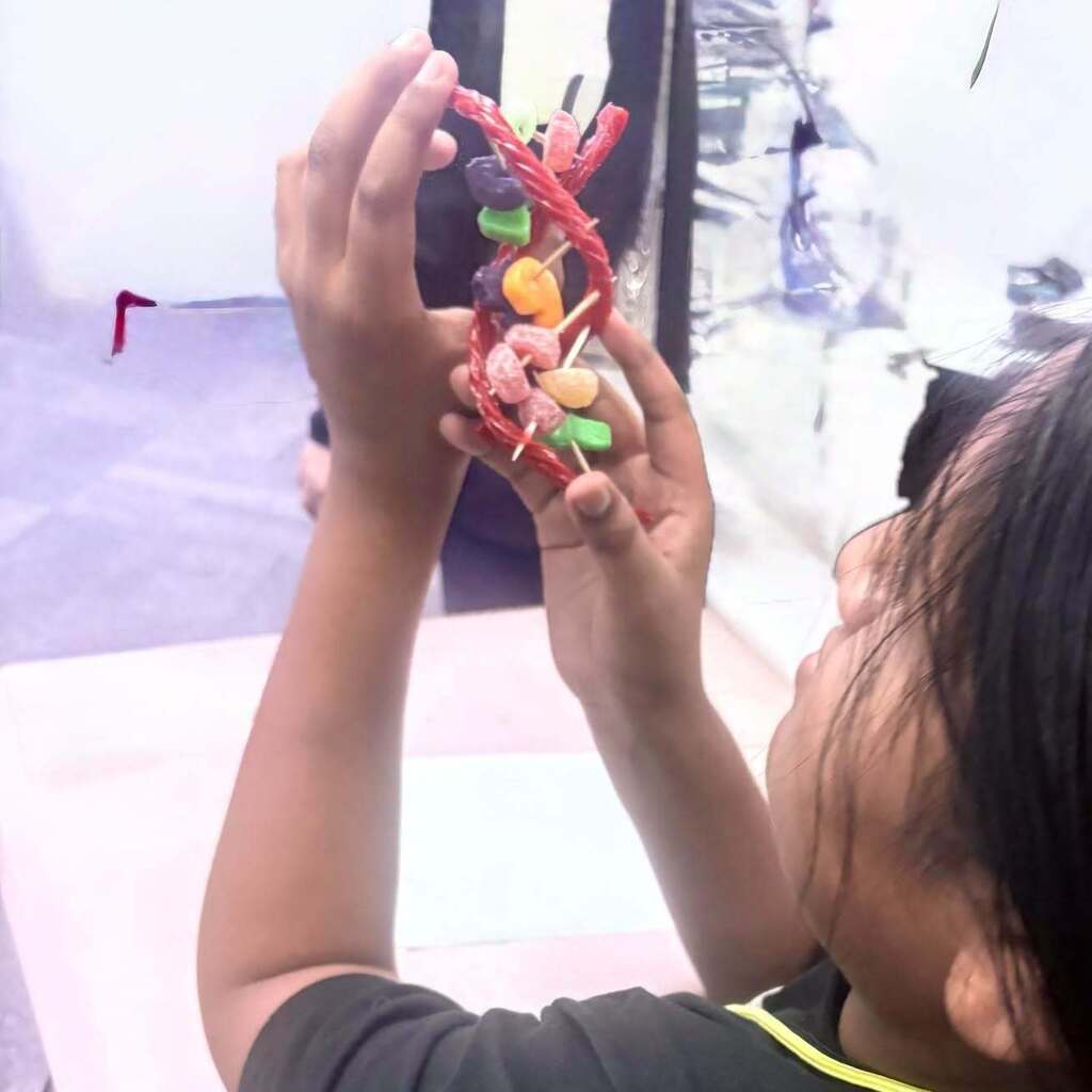 A child holds a colorful model of a DNA strand, focusing on it while standing in a light-colored room.