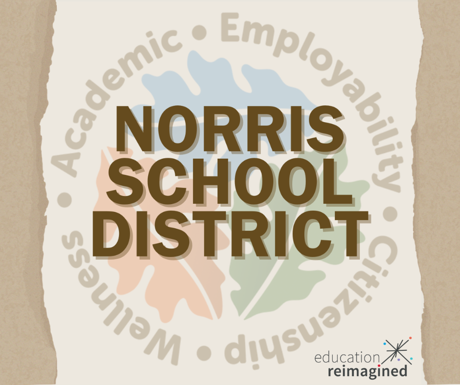 NDS logo image