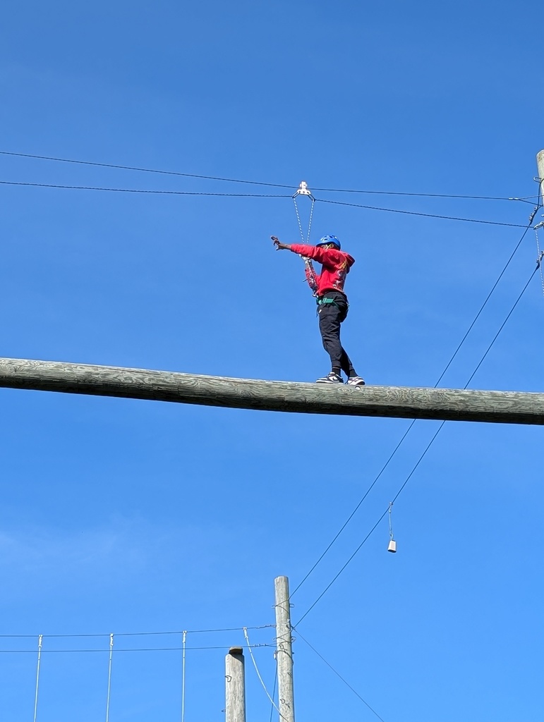 learner on the high ropes course
