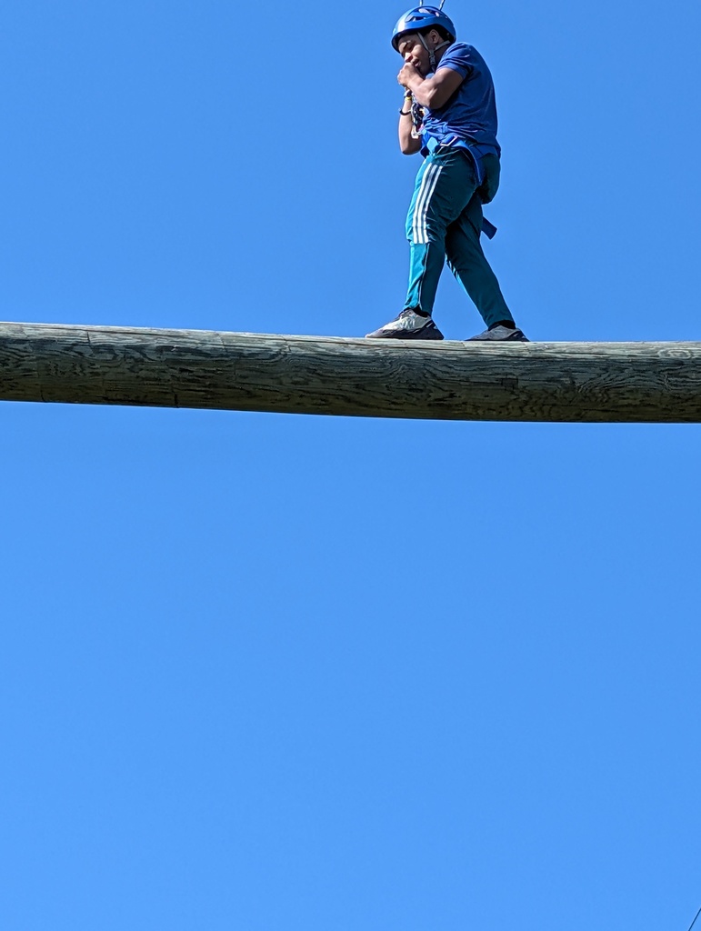learner on the high ropes log course