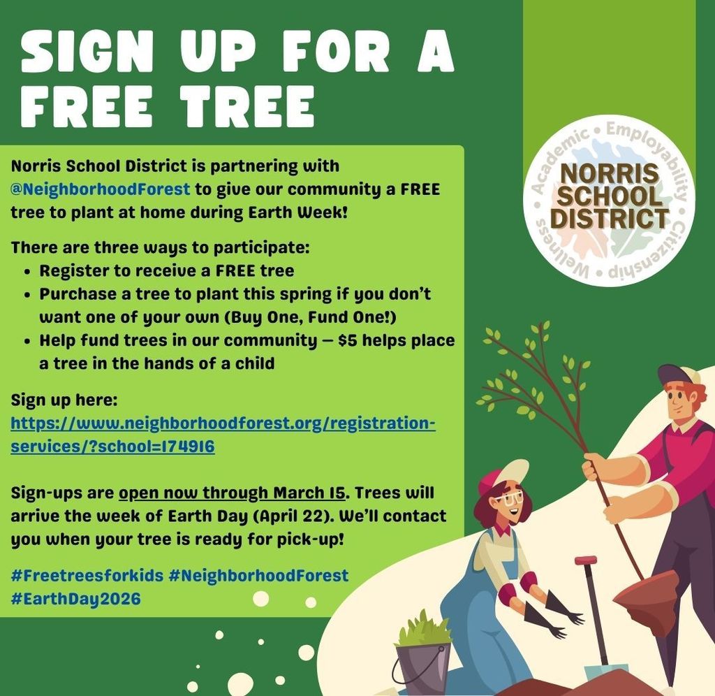 Neighborhood Forest Flyer
