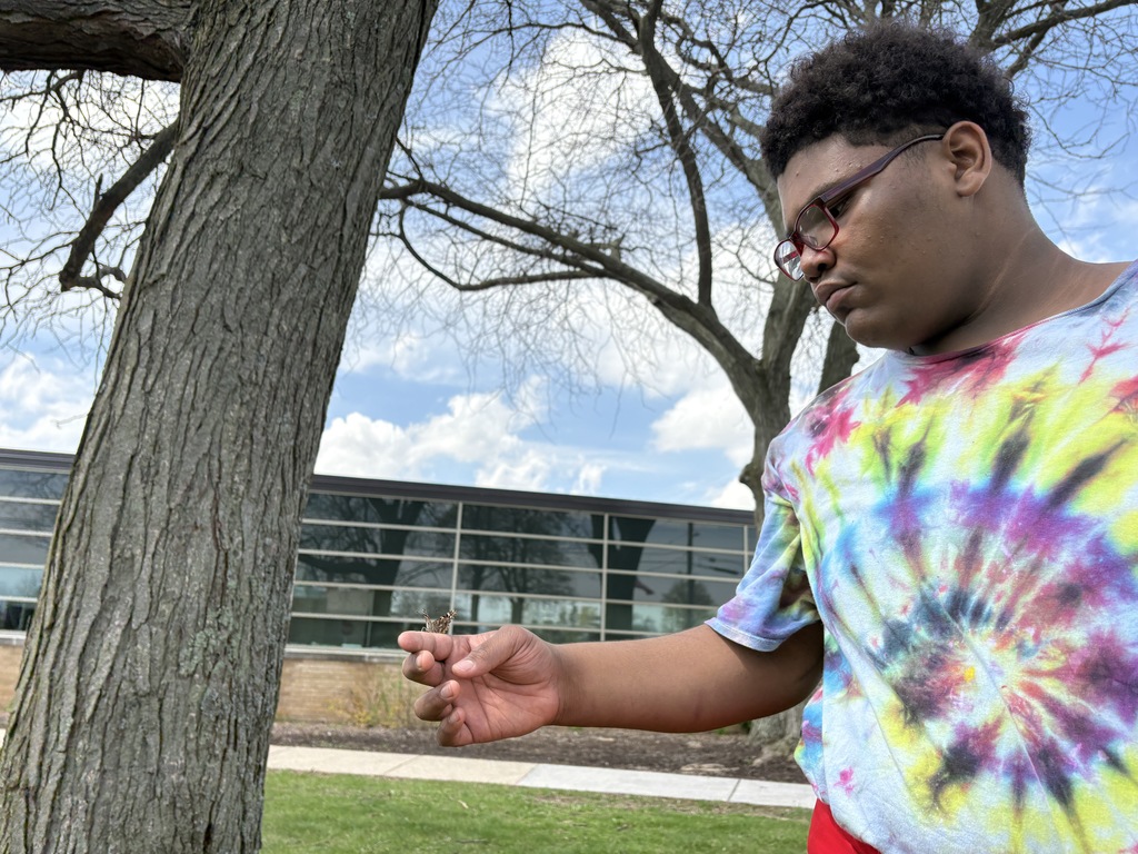 male learner releasing a butterfly
