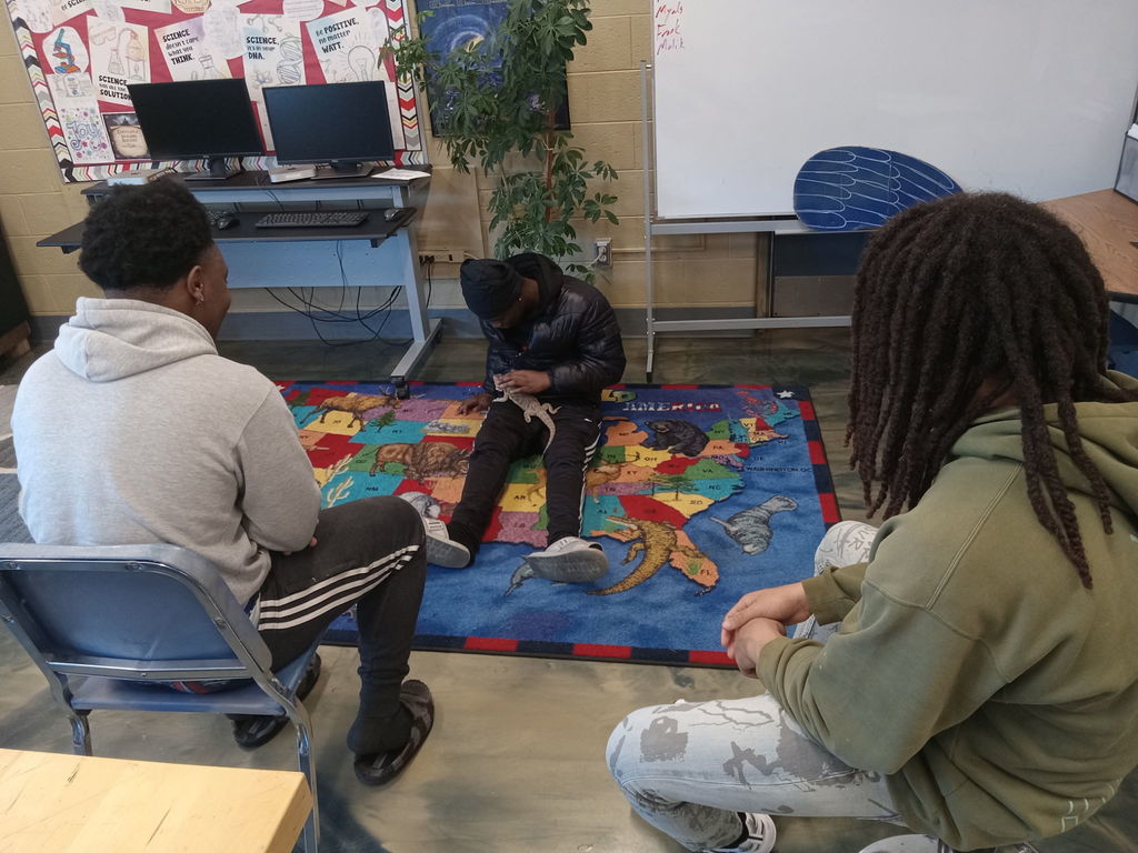 male learners looking at a learner with a beared dragon. 