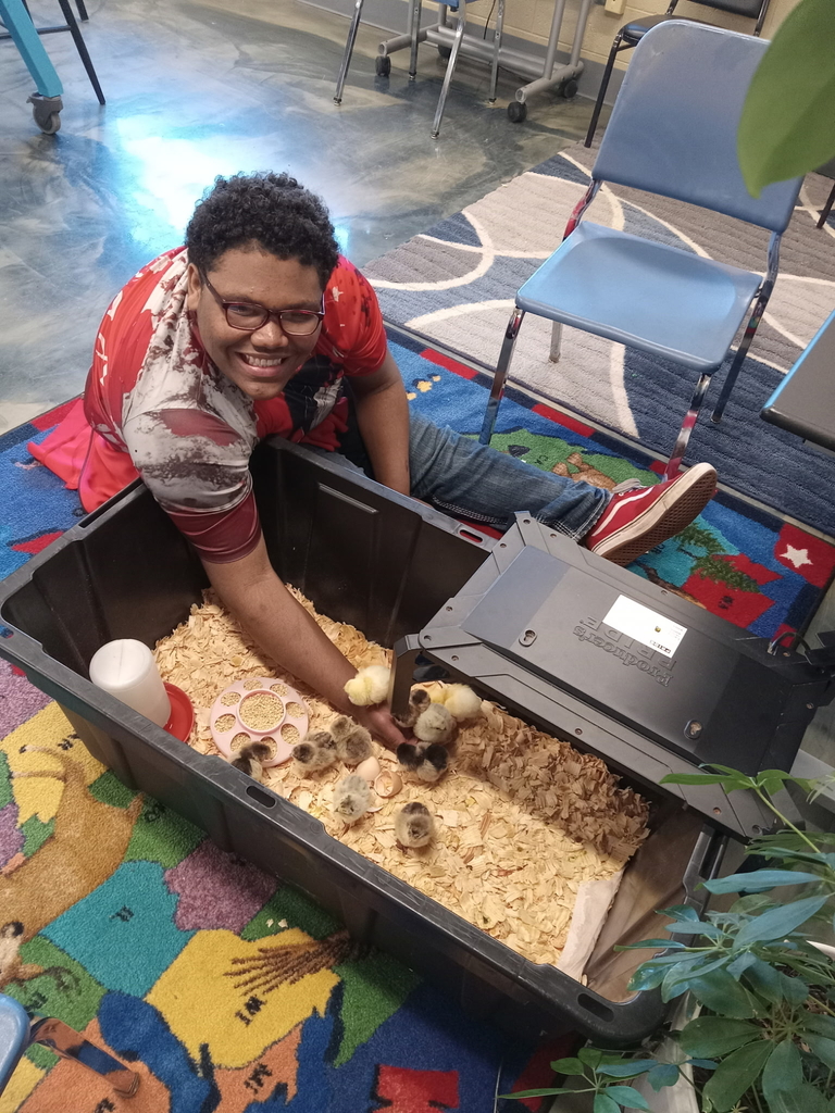 male learner playing with baby chicks