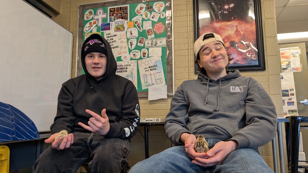 two male learners with chicks