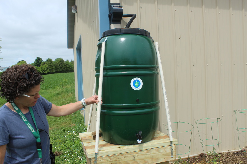 rain barrel